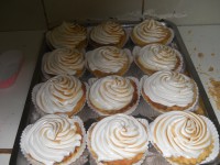 /album/fotos-nuebas/dscn2370-jpg/