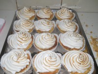 /album/fotos-nuebas/dscn2371-jpg/