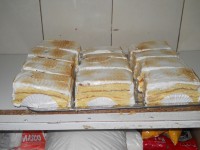 /album/fotos-nuebas/dscn2373-jpg/